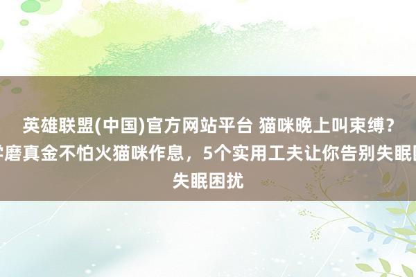 英雄联盟(中国)官方网站平台 猫咪晚上叫束缚？科学磨真金不怕火猫咪作息，5个实用工夫让你告别失眠困扰