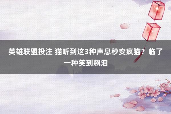 英雄联盟投注 猫听到这3种声息秒变疯猫？临了一种笑到飙泪