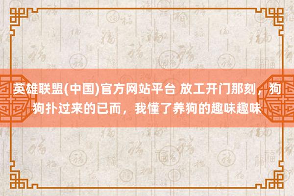 英雄联盟(中国)官方网站平台 放工开门那刻，狗狗扑过来的已而，我懂了养狗的趣味趣味