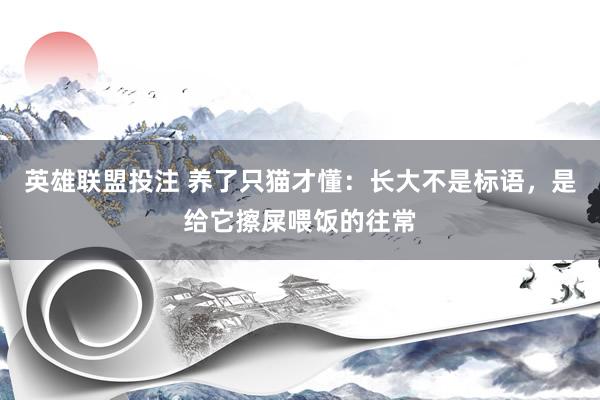 英雄联盟投注 养了只猫才懂：长大不是标语，是给它擦屎喂饭的往常