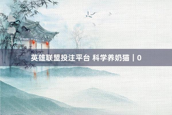 英雄联盟投注平台 科学养奶猫｜0