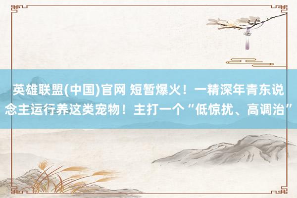 英雄联盟(中国)官网 短暂爆火！一精深年青东说念主运行养这类宠物！主打一个“低惊扰、高调治”