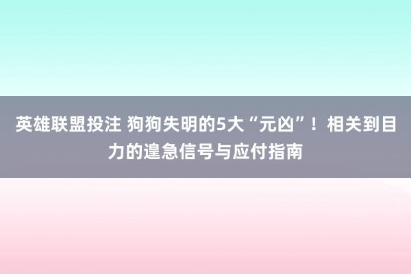 英雄联盟投注 狗狗失明的5大“元凶”！相关到目力的遑急信号与应付指南