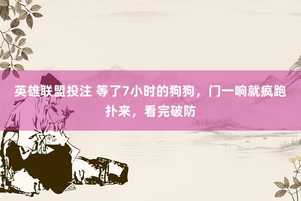 英雄联盟投注 等了7小时的狗狗，门一响就疯跑扑来，看完破防