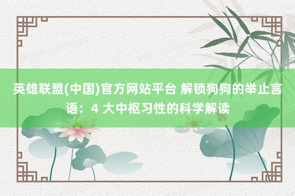 英雄联盟(中国)官方网站平台 解锁狗狗的举止言语：4 大中枢习性的科学解读