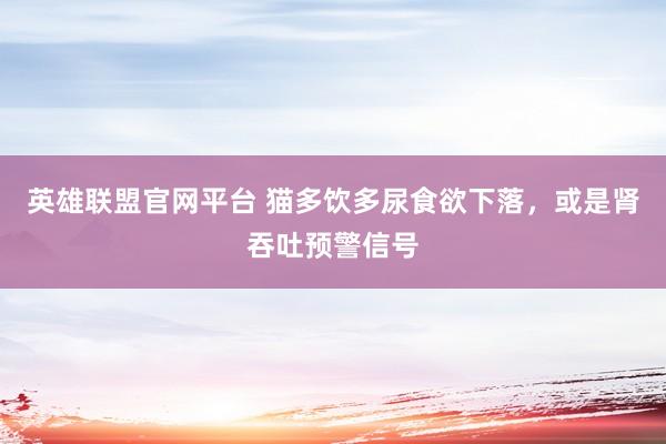 英雄联盟官网平台 猫多饮多尿食欲下落，或是肾吞吐预警信号