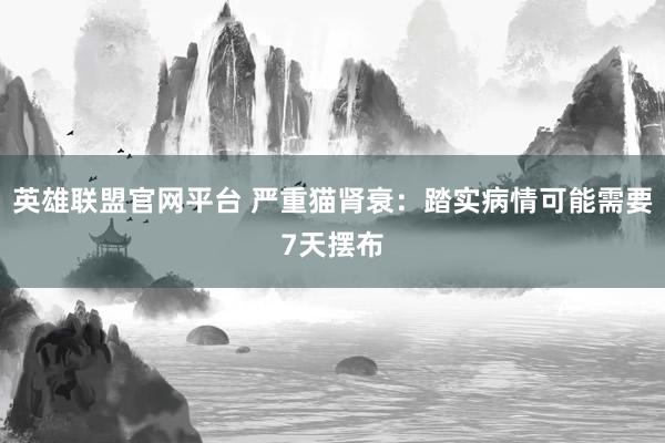 英雄联盟官网平台 严重猫肾衰：踏实病情可能需要7天摆布