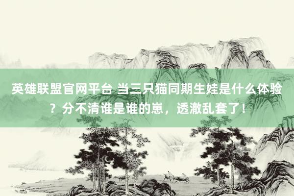 英雄联盟官网平台 当三只猫同期生娃是什么体验？分不清谁是谁的崽，透澈乱套了！