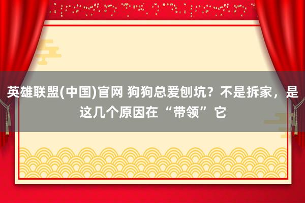 英雄联盟(中国)官网 狗狗总爱刨坑？不是拆家，是这几个原因在 “带领” 它