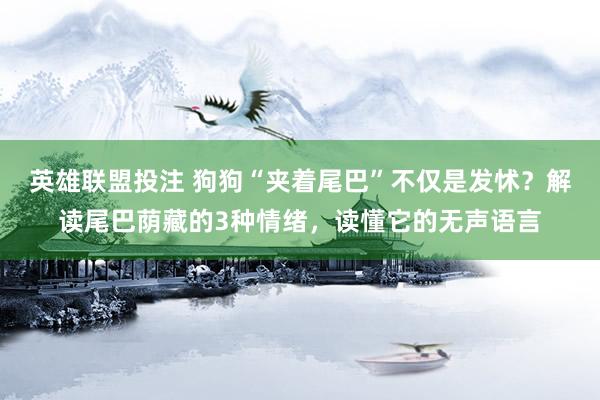 英雄联盟投注 狗狗“夹着尾巴”不仅是发怵？解读尾巴荫藏的3种情绪，读懂它的无声语言