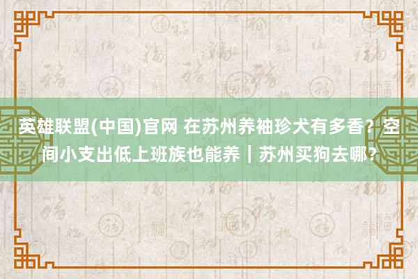 英雄联盟(中国)官网 在苏州养袖珍犬有多香？空间小支出低上班族也能养｜苏州买狗去哪？