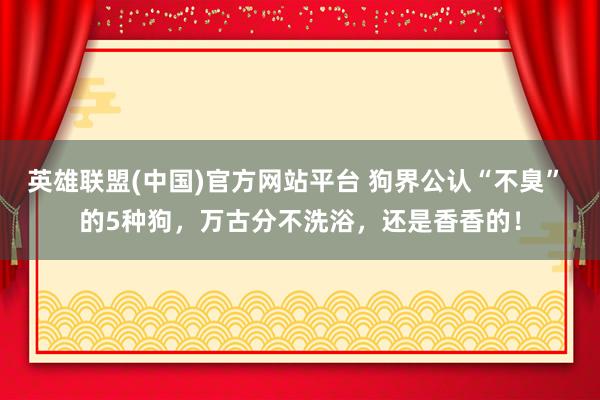 英雄联盟(中国)官方网站平台 狗界公认“不臭” 的5种狗，万古分不洗浴，还是香香的！