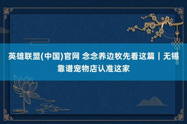 英雄联盟(中国)官网 念念养边牧先看这篇｜无锡靠谱宠物店认准这家