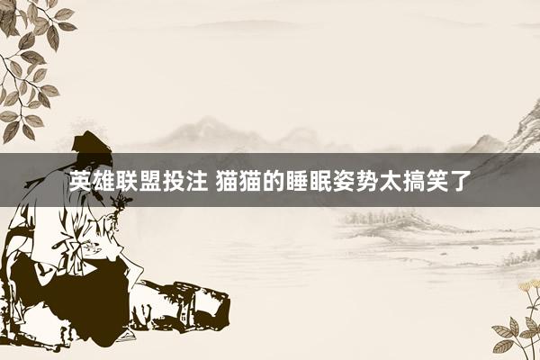 英雄联盟投注 猫猫的睡眠姿势太搞笑了
