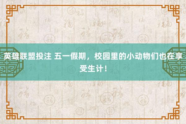 英雄联盟投注 五一假期，校园里的小动物们也在享受生计！