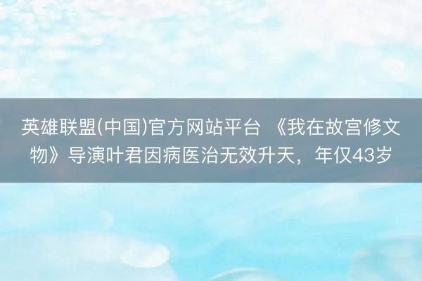 英雄联盟(中国)官方网站平台 《我在故宫修文物》导演叶君因病医治无效升天，年仅43岁